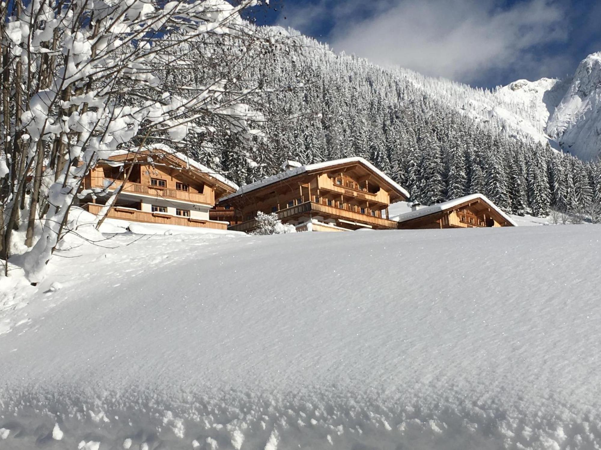 Haus Fernwald Top Tim Und Nynke Alpbach Exteriör bild