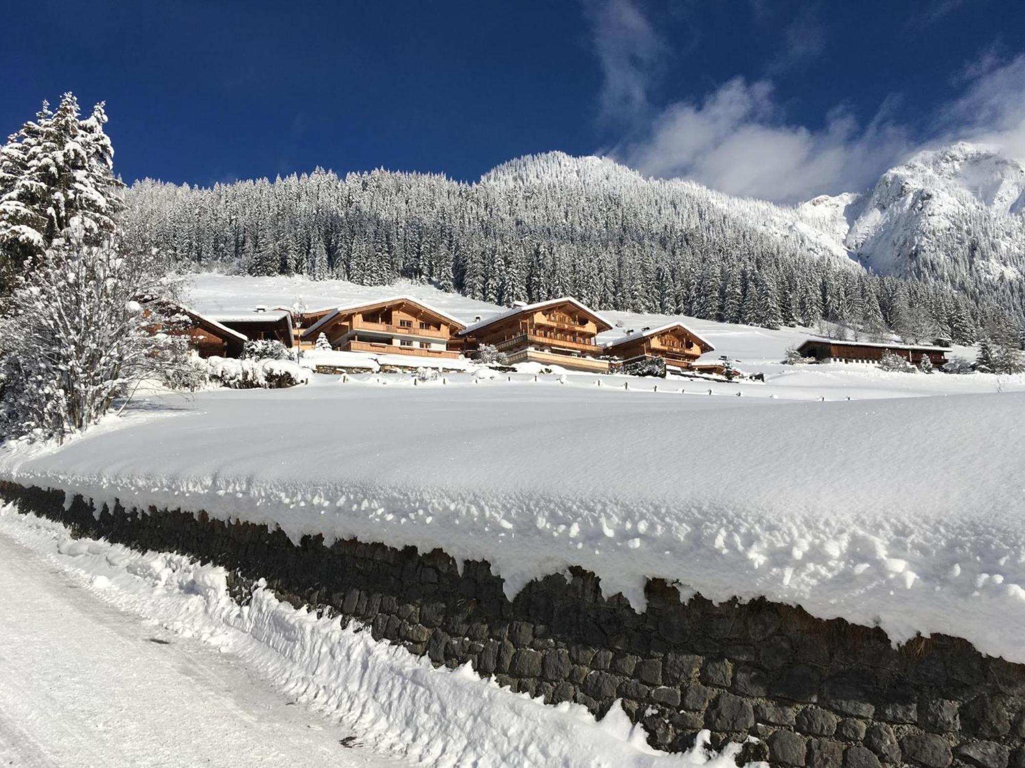 Haus Fernwald Top Tim Und Nynke Alpbach Exteriör bild