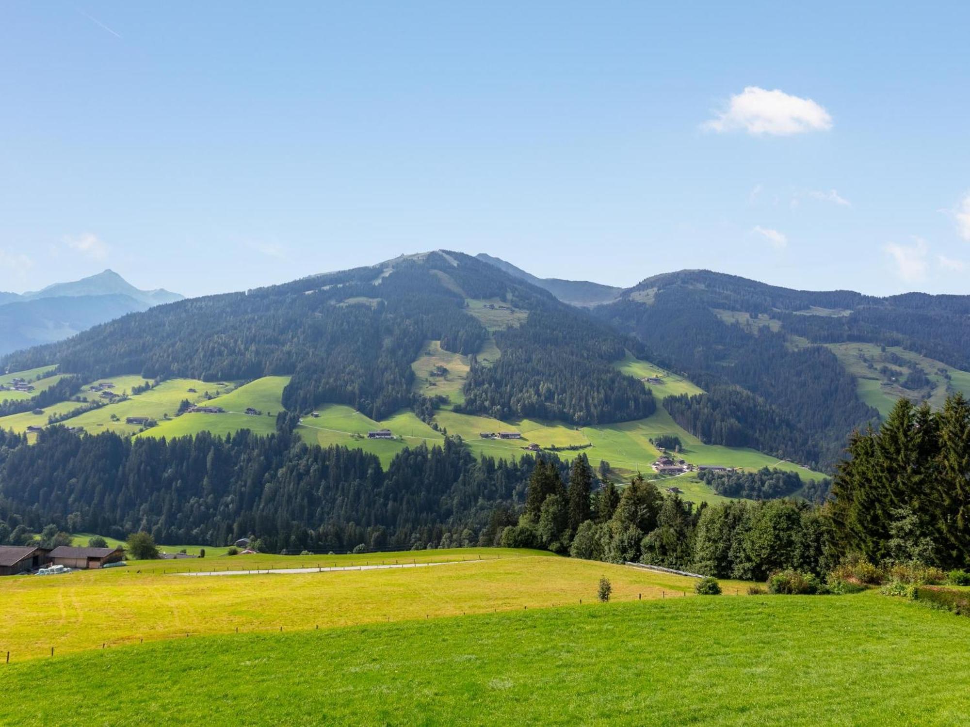 Haus Fernwald Top Tim Und Nynke Alpbach Exteriör bild